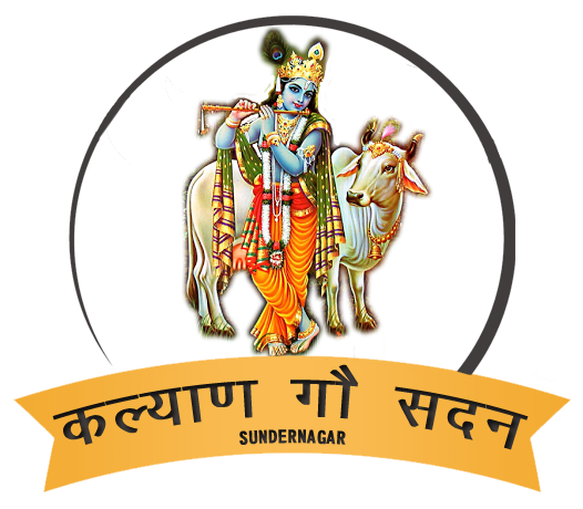 Kalyan Gau Sadan (कल्याण गौ सदन)